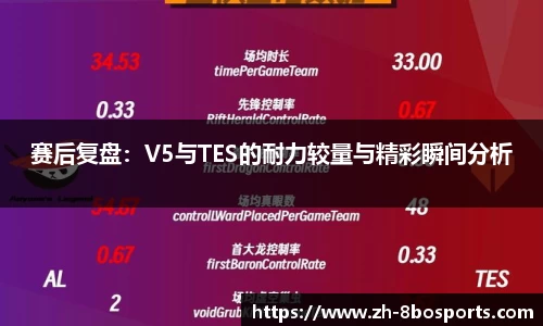 赛后复盘：V5与TES的耐力较量与精彩瞬间分析